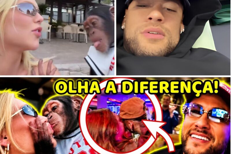 “UM ABSURDO SEM PRECEDENTES!” Virgínia Fonseca CHOCA O MUNDO com vídeo bizarro no zoológico, enquanto Neymar HUMILHA Bruna Biancardi ao vivo e situação sai de controle!