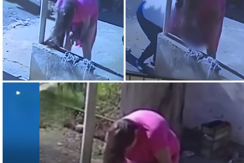 “Bebê Nasce na Varanda de Casa em Ibaiti: Parto Relâmpago Emociona a Internet!”