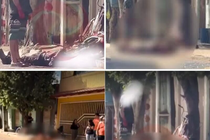 “Voltei dos EUA para vingar minha mãe!” – Jovem de 18 anos mata o próprio avô em Minas Gerais em ataque brutal e planejado; detalhes chocantes aqui