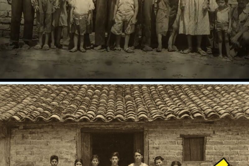 O Massacre da Família Pereira: O CONFLITO Que Destruiu TRÊS GERAÇÕES em Goiás – 1976